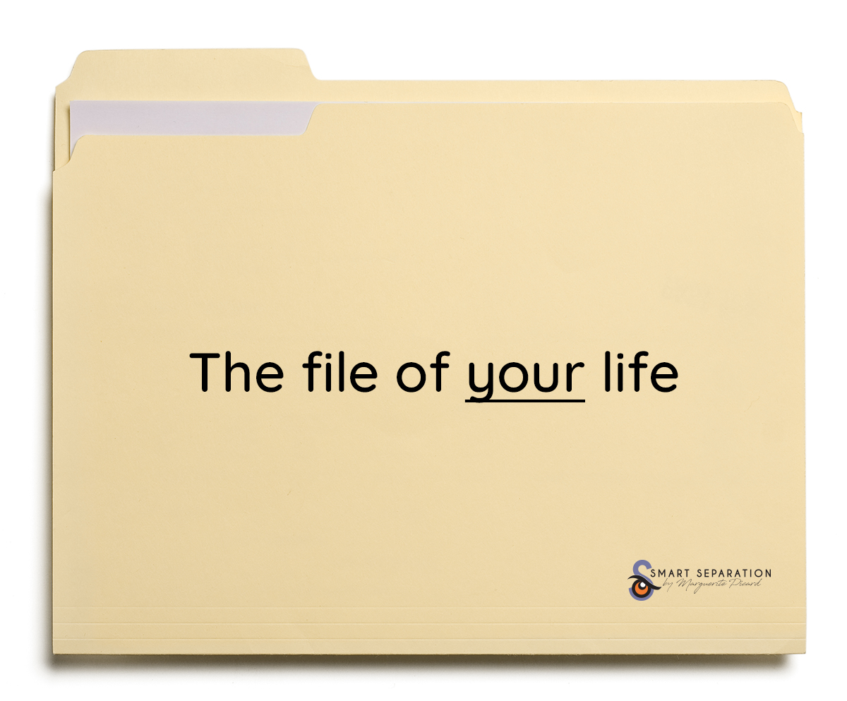 Your life, my file